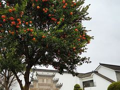 -广富林宰相府酒店·水云间