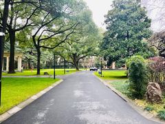 -叶叶菩提·晋福宫