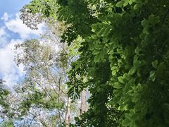 -水濂山森林公园