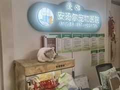 -爱侣·安琦尔宠物医院·中兽医针灸·心内科·狂犬免疫点(宝山区院)