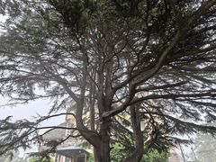 -青岛德国总督楼旧址博物馆