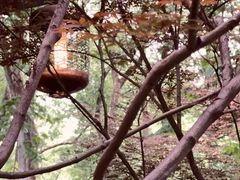 -湖滨客舍·湖北菜