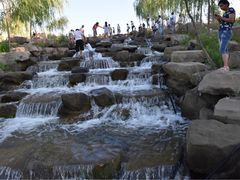 -小绿谷公园