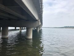 -丁香湖公园