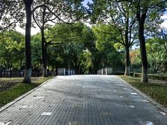 -上海鲜花港