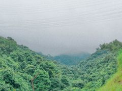 -阳台山森林公园