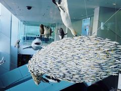 -墨尔本博物馆(Melbourne Museum)