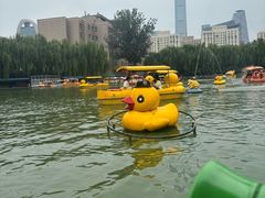 -团结湖公园