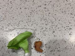 -自然之声助听器·呼吸机(贵定店)