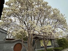 -北京石刻艺术博物馆(五塔寺)