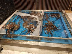 水产区-蟹将军·松叶蟹和牛日料放题自助(K11店)