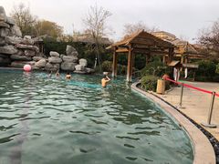 -仁爱团泊湖温泉中心