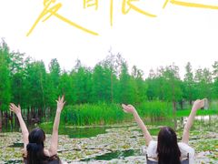 -白鹭湾湿地公园