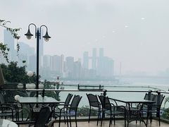 -陶然居·重庆菜(南滨路店)