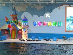 -蓬莱欧乐堡海洋极地世界