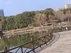 -桐乡植物园