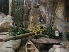 -杭州开元森泊度假乐园