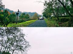 -唐崖土司城遗址