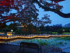 -江心屿景区