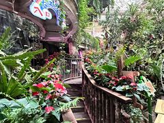 -正佳雨林生态植物园