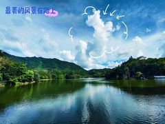 -深圳仙湖植物园