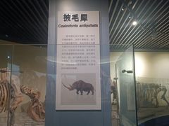 -大庆市博物馆