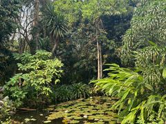 -中国科学院西双版纳热带植物园