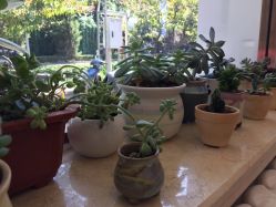 -悦颜美佳·美容·美甲美睫