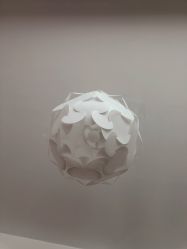 -元熙兰积皮肤管理