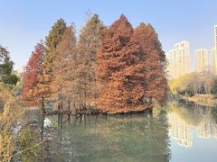 -白塘生态植物园