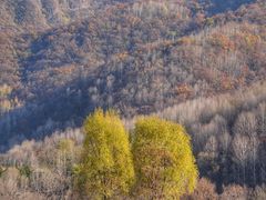 -玉渡山自然风景区