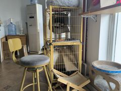 -青春加萌照相馆