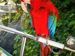 -西霞口神雕山野生动物世界