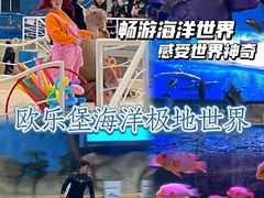 -泉城欧乐堡海洋极地世界