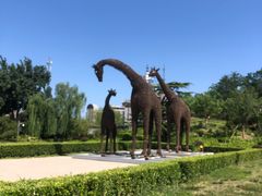 -莲花池公园