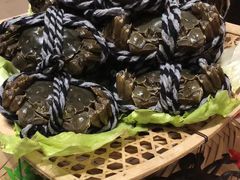 -浦东绿地铂骊酒店-POYA西餐厅(绿地东海岸国际广场店)