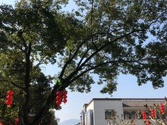 -蒋氏故居