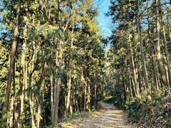 -南京市无想山景区