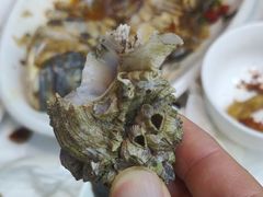 -阿军排档·烧烤