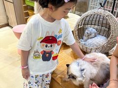 -藏猫猫咖啡主题馆(中央大道店)