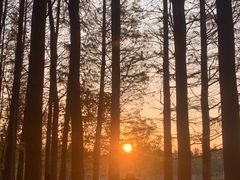 -艾溪湖湿地公园