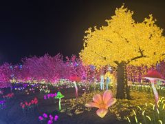 -国际非物质文化遗产博览园