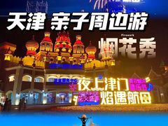 -泰达航母主题公园