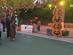 -青岛方特梦幻王国