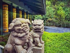 -腾冲云峰山
