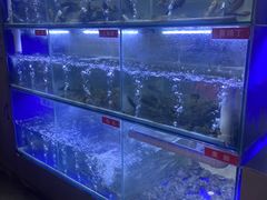-石锅苗苗鱼(武汉首店)