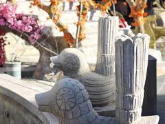 -裕龙汤泉
