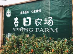 -春日农场