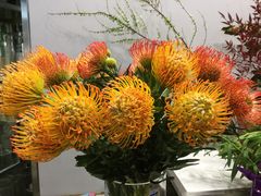 -靳晖金百合花艺GOLDENLILY(南院门店)