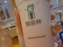 -沏佰杯(金元宝店)